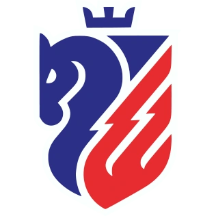 FC Botosani